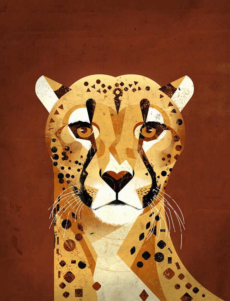 Cheetah by Dieter