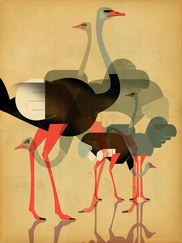 Dieter Braun, Flamingos