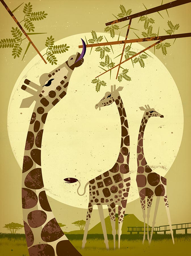 Dieter Braun, Giraffes