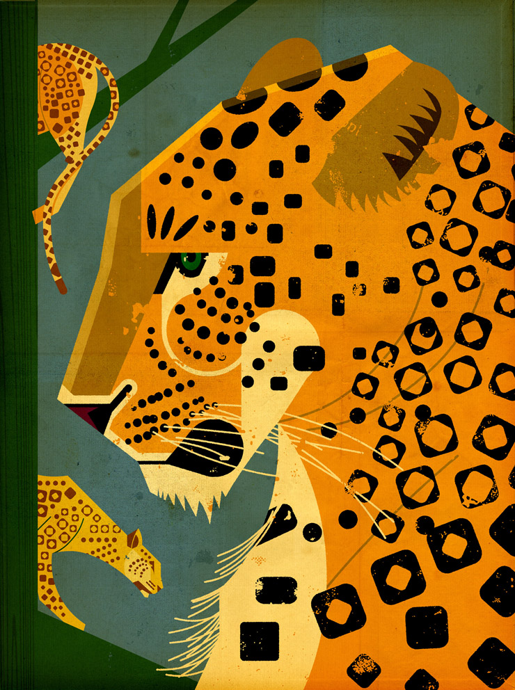 Leopard by Dieters