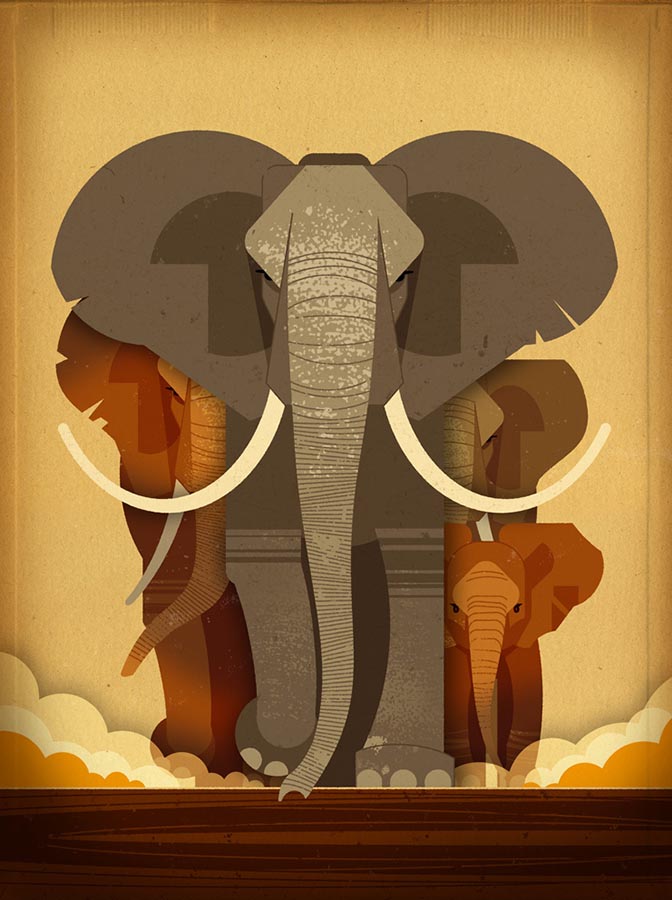 Dieter Braun, Elephants